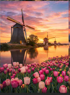 Netherlands
